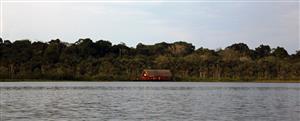 img11